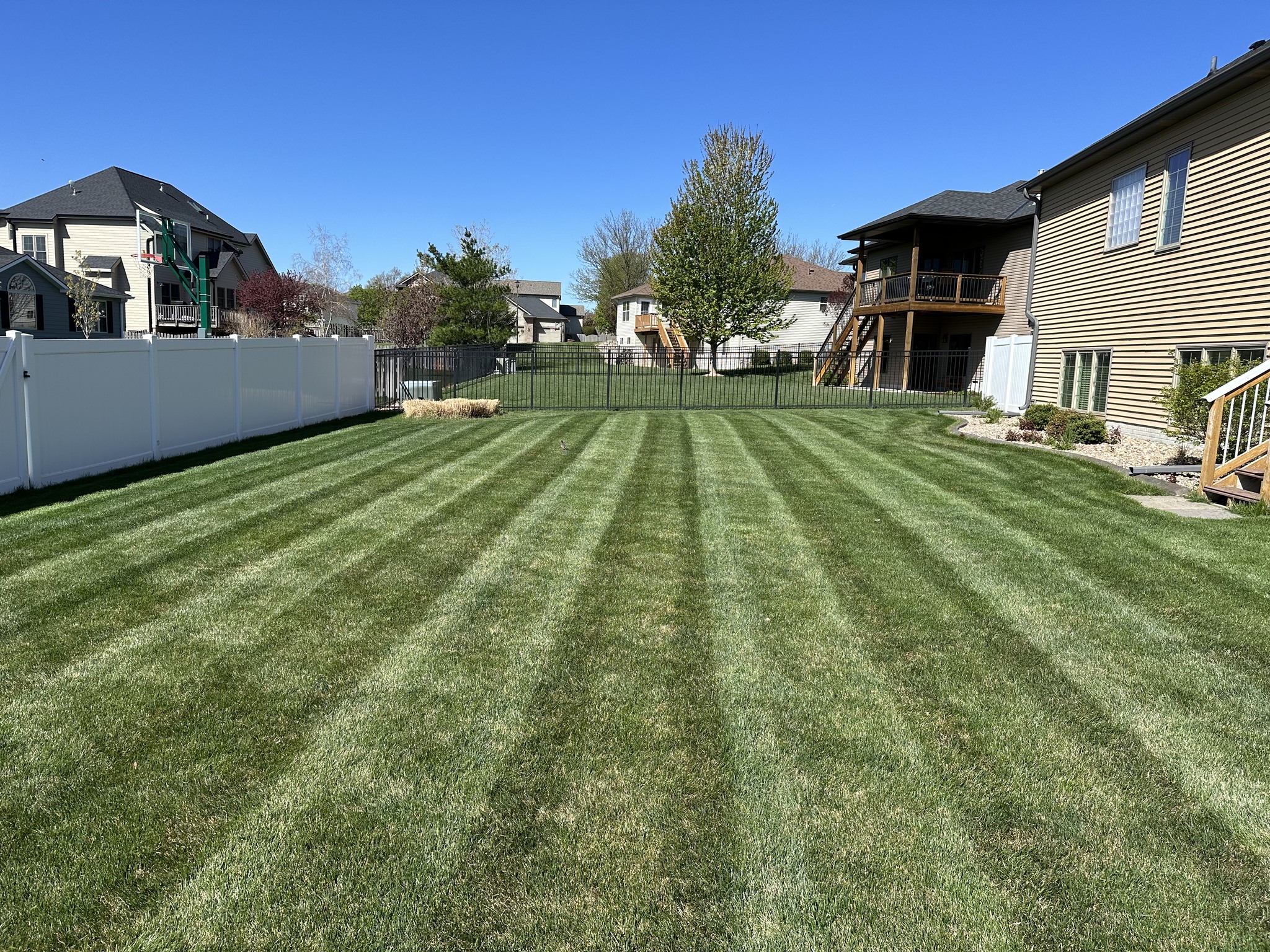 Yard service project by Top Tier Lawn and Landscaping
