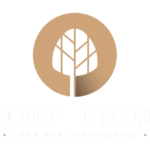 Top Tier Logo